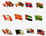 countries national flag Pin